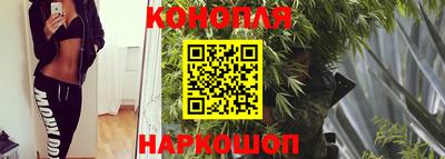 МДПВ Краснознаменск