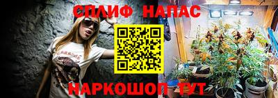 МДПВ Краснознаменск