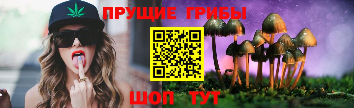 Псилоцибиновые грибы MAGIC MUSHROOMS  Вход с VPN  Псилоцибиновые грибы Cubensis  закладка  Ижевск 